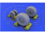 Eduard 1:32 Wheels for F-4J / S - Tamiya 