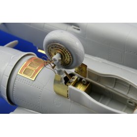 P-61 exterior DRAGON