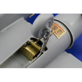 P-61 exterior DRAGON
