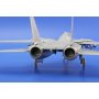 Eduard 1:72 F-14A exterior dla Hobby Boss