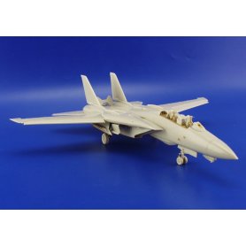 Eduard 1:72 F-14A dla Hasegawa