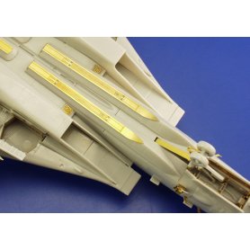 Eduard 1:72 F-14A dla Hasegawa
