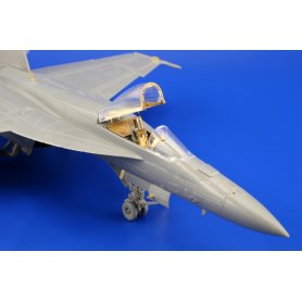 Eduard 1:72 F/A-18E S.A. dla Revell