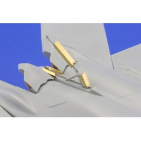 Eduard 1:72 F-22 dla Academy