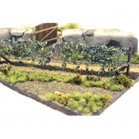 Eduard 1:72 Grapevine