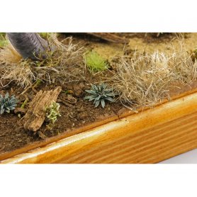 Eduard 1:72 Cactus