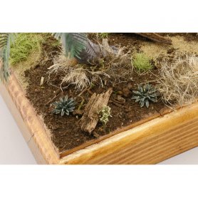 Eduard 1:72 Cactus