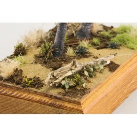 Eduard 1:72 Cactus