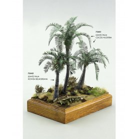 Eduard 1:72 Leaves Palm Howea Belmoreana