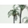 Eduard 1:72 Leaves Palm Howea Belmoreana