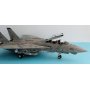 F-14A TAMIYA