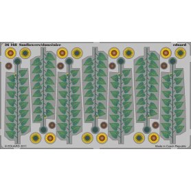 Eduard BIG 1:35 Plants part I