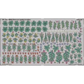 Eduard BIG 1:35 Plants part II