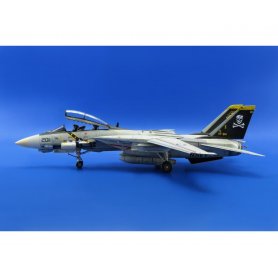 Eduard 1:48 US F14A DANGER ZONE