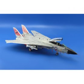 Eduard 1:48 US F14A DANGER ZONE