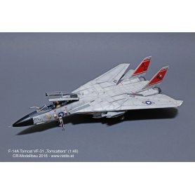 Eduard 1:48 US F14A DANGER ZONE