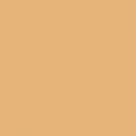 Mr.Color C051 Flesh-Semigloss
