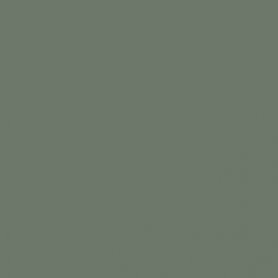 Mr.Color C317 Fs36231 Gray-Flat
