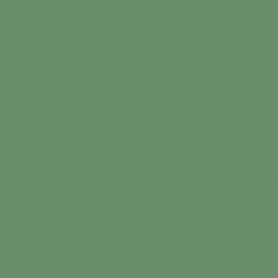 Mr.Color C336 Bs4800/10B21 Hemp-Sg