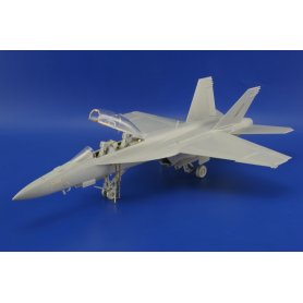 Eduard BIG 1:48 F-18F dla Hasegawa
