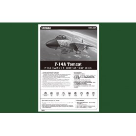Hobby Boss 1:72 F-14A Tomcat