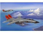 Hobby Boss 1:48 Grumman F-14D Super Tomcat