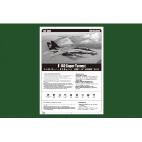 Hobby Boss 1:48 F-14D Super Tomcat