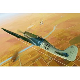 HOBBY BOSS 81718 1/48 Focke-Wulf FW190D-11