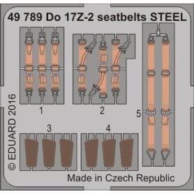 Do 17Z-2 ICM