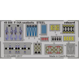 Eduard BIG 1:48 F-14A dla Tamiya