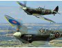 Kolory RAF w II Wojnie Światowej